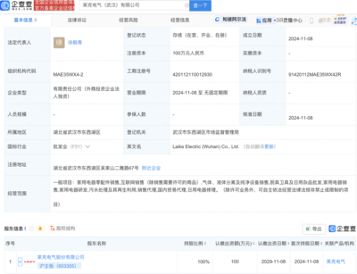 萊克電氣武漢布局新動(dòng)向:全資子公司盛大開(kāi)業(yè),瞄準(zhǔn)家電市場(chǎng)新機(jī)遇!